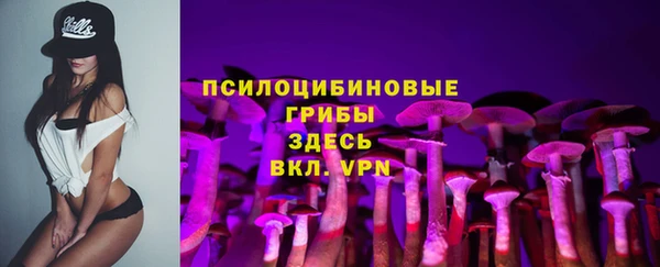 соль ск Козловка