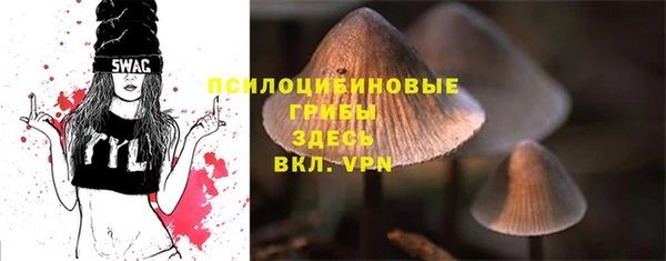 соль ск Козловка