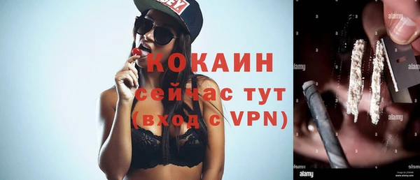 соль ск Козловка