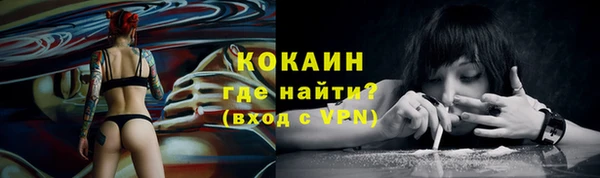 соль ск Козловка