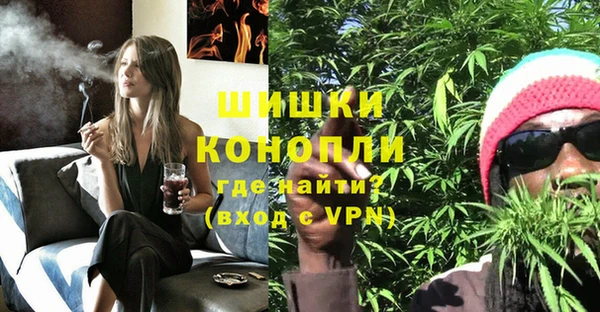 ECSTASY Костерёво