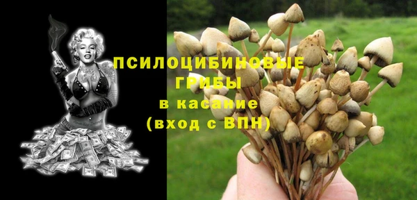 соль курить ск Козельск