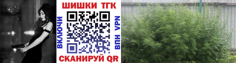 Бошки Шишки гибрид  Купить  Гусиноозёрск 